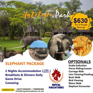 Antelope Park Elaphant Package Getaway
