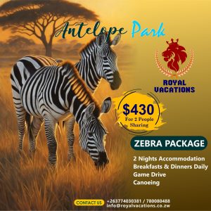 Antelope Park Zebra Getaway