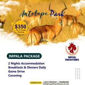Antelope Park iMPALA Getaway