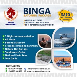 Binga Batonga Packages