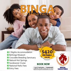 Binga FAMILY Packages