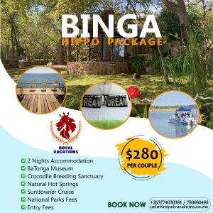 Binga Hippo Packages