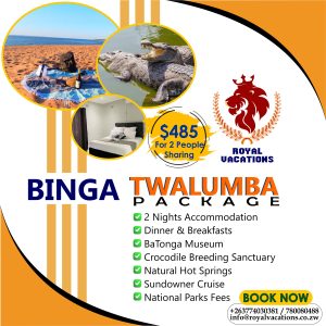 Binga Twalumba Packages