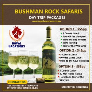 Bushman dAY TRIP Package