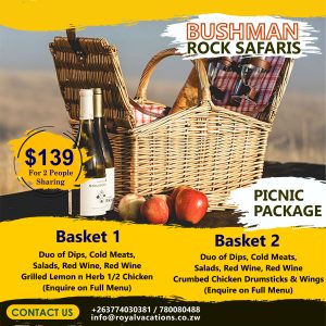 Bushman pICNIC Package