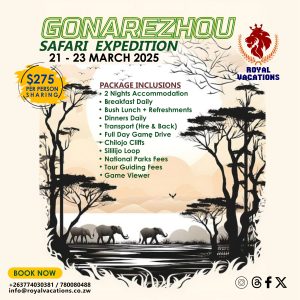 Gonarezhou Safari Hideaway