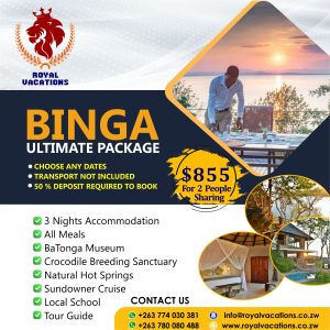 Ultimate Binga Packages